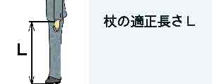 「杖の適正長さ」説明図